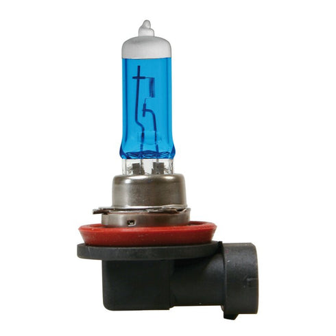 Bec halogen Blu-Xe  H8 35W PGJ19-1 12V 2buc
